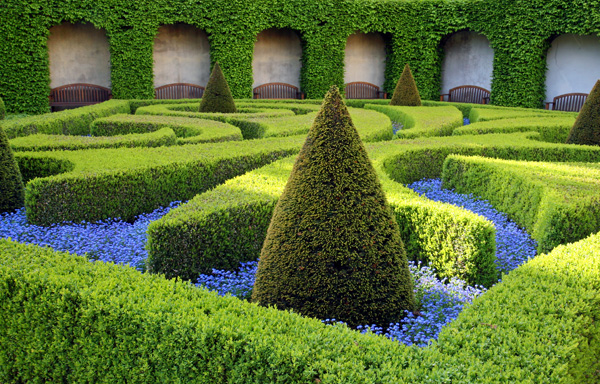 Heavenly scents of juniper, spruce, and lavender fill the air around this topiary maze.